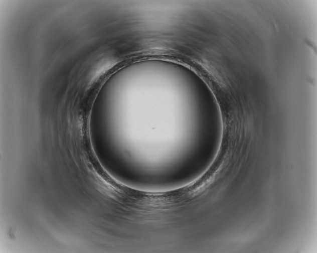 X0000095961402200801111352
