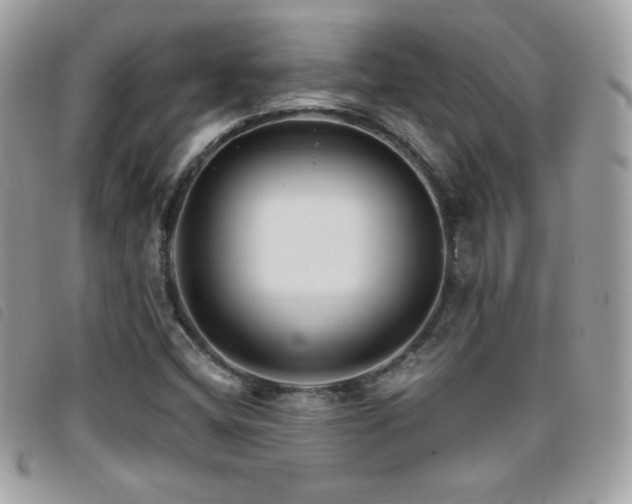 X0000095961404200801111352