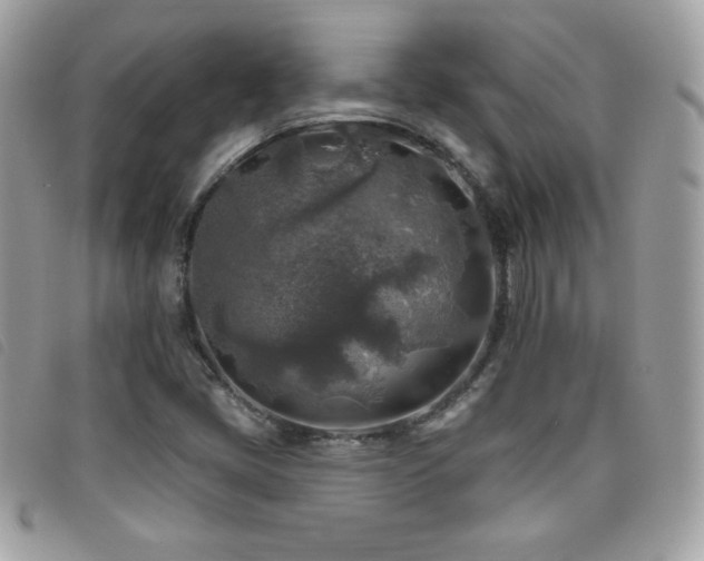 X0000095961405200801111352