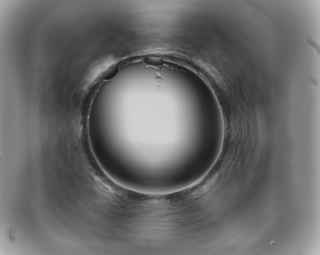X0000095961406200801111352