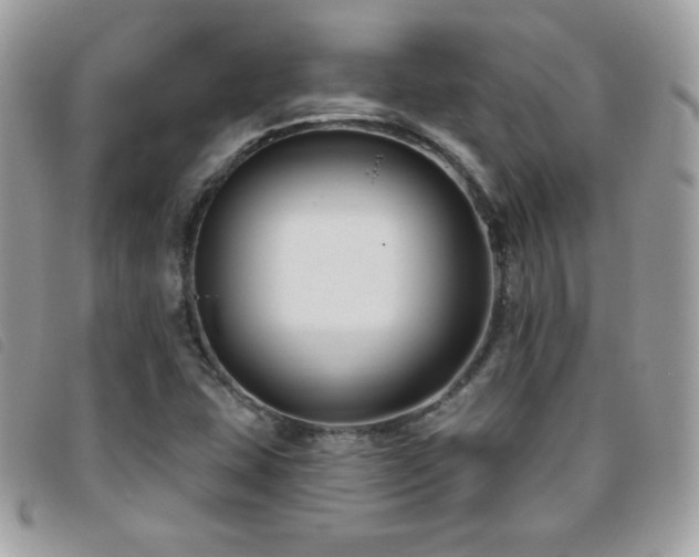 X0000095961407200801111352