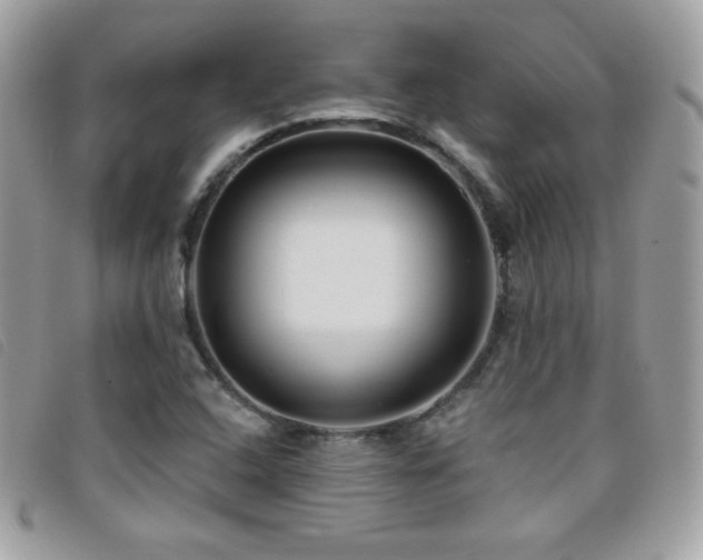 X0000095961408200801111352