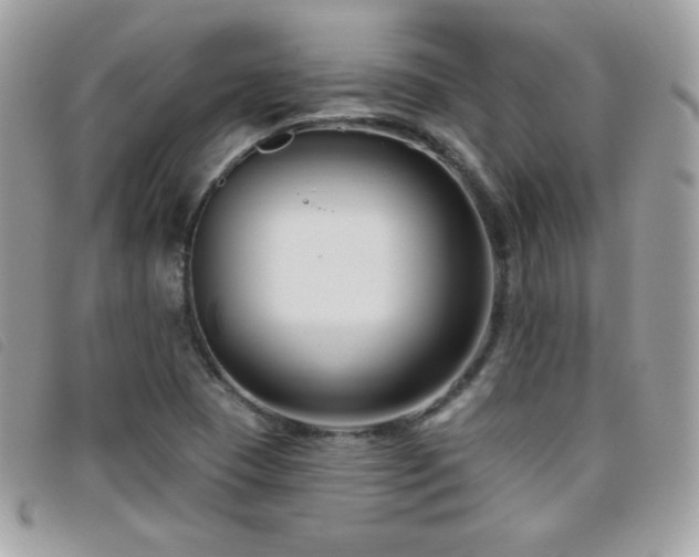 X0000095961409200801111352