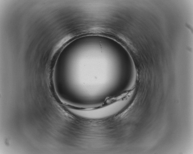 X0000095961410200801111352