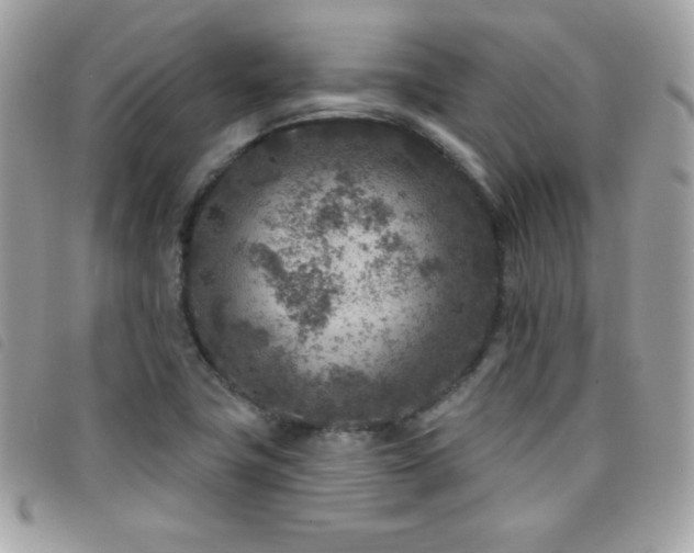 X0000095961411200801111352