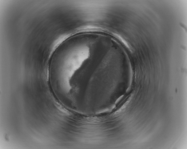 X0000095961413200801111352