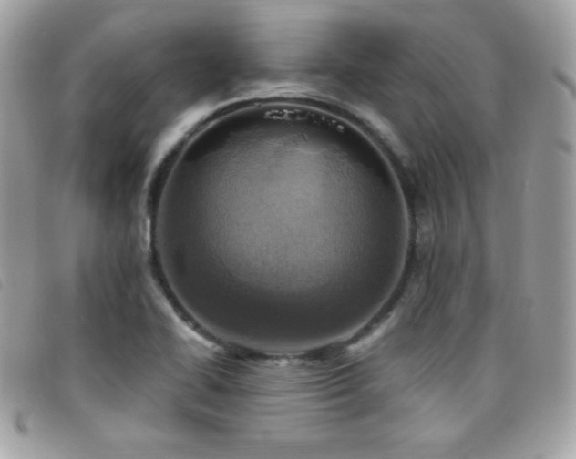 X0000095961414200801111352