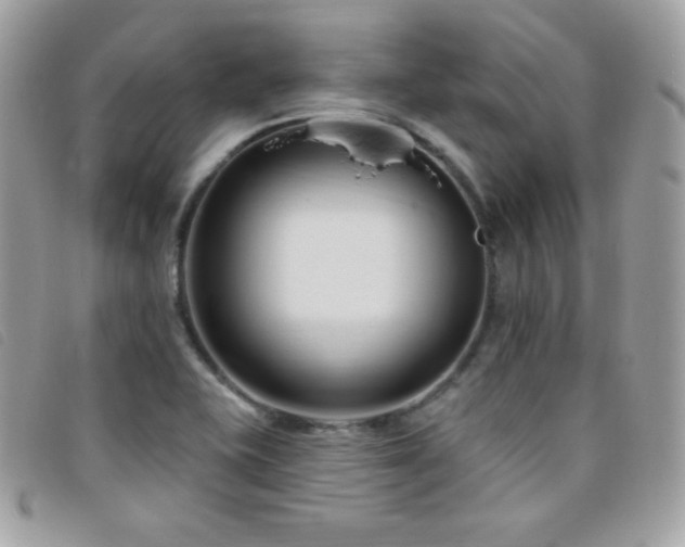 X0000095961415200801111352