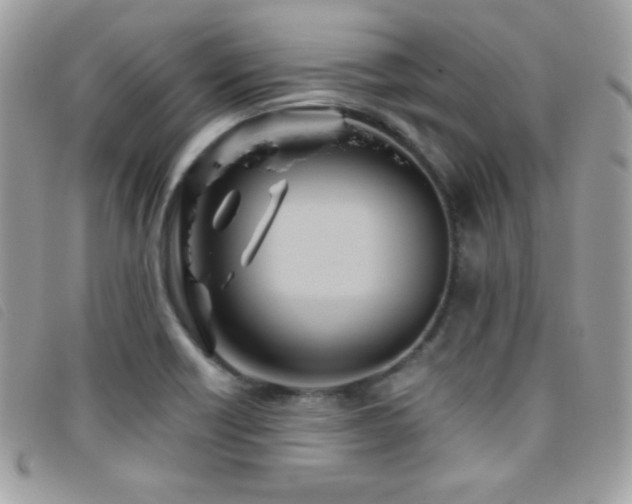 X0000095961418200801111352