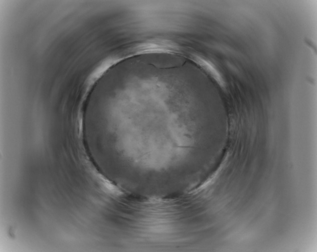 X0000095961419200801111352