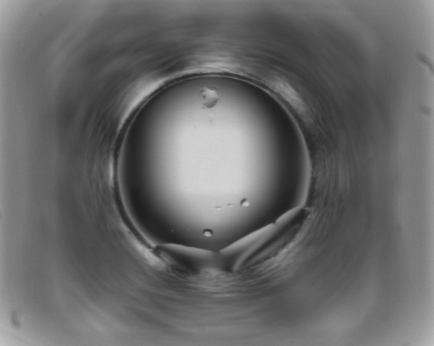 X0000095961420200801111352