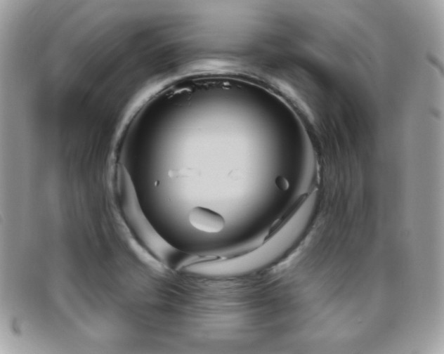 X0000095961421200801111352
