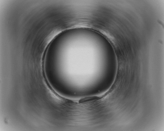 X0000095961423200801111352