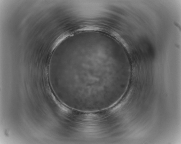 X0000095961425200801111352