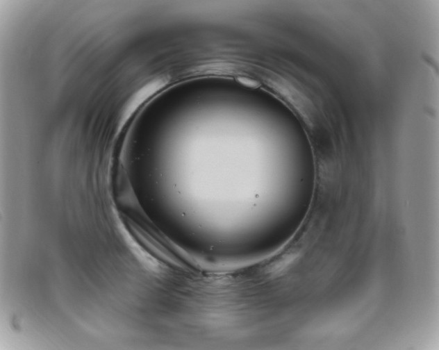X0000095961426200801111352