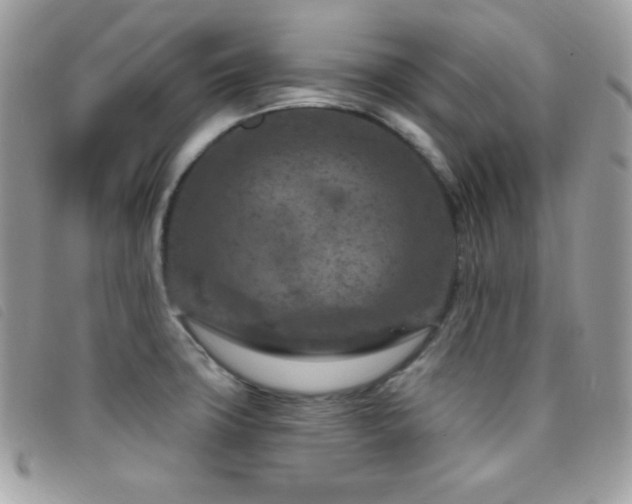 X0000095961427200801111352