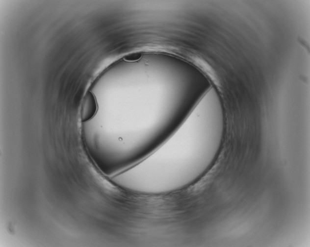 X0000095961428200801111352
