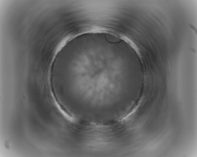 X0000095961429200801111352