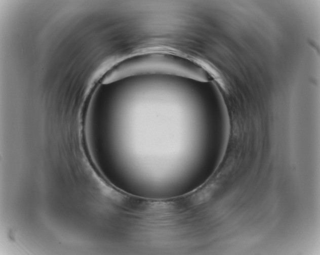 X0000095961430200801111352