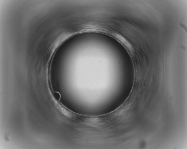 X0000095961431200801111352