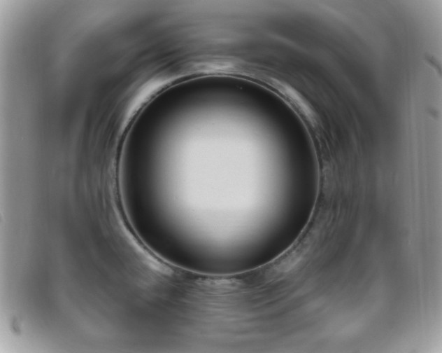 X0000095961432200801111352