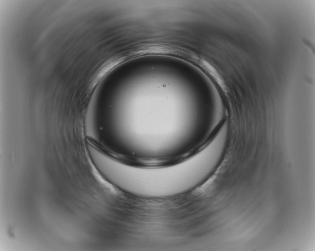 X0000095961433200801111352