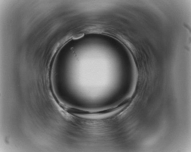 X0000095961434200801111352