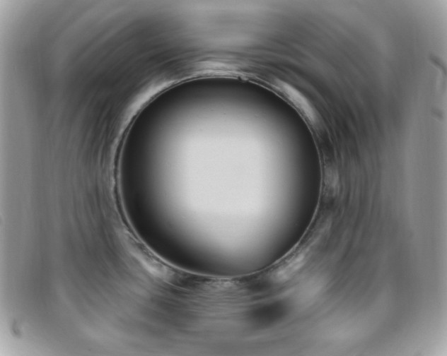 X0000095961435200801111352