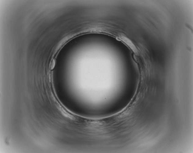 X0000095961436200801111352