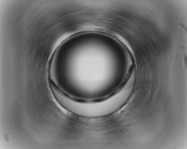 X0000095961437200801111352