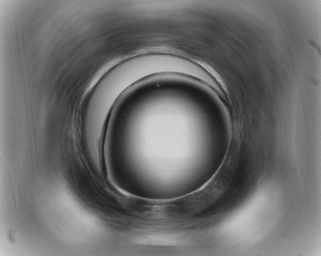 X0000095961438200801111352