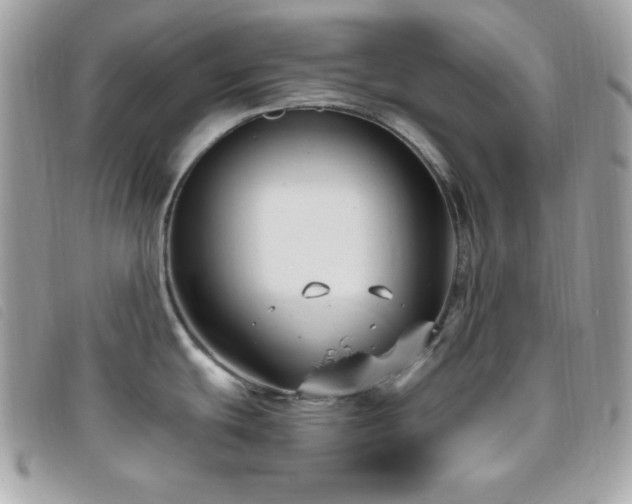 X0000095961439200801111352
