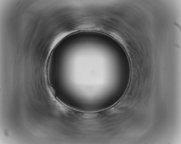 X0000095961440200801111352