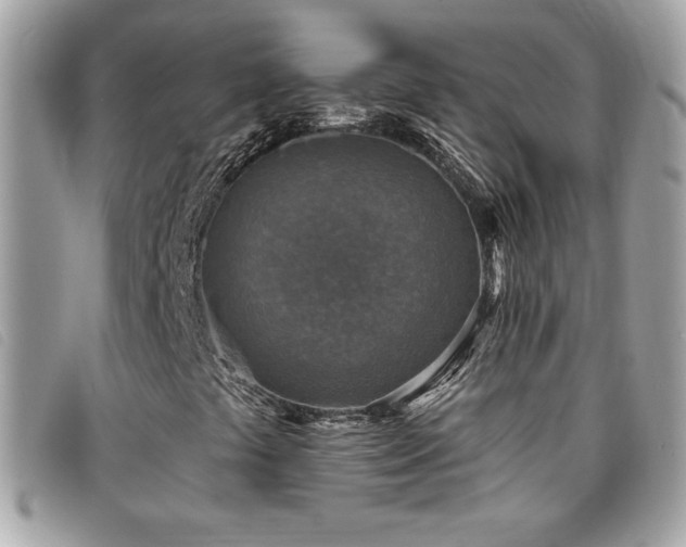 X0000095961441200801111352