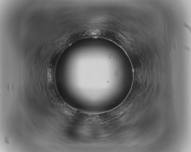 X0000095961442200801111352