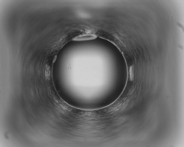 X0000095961443200801111352