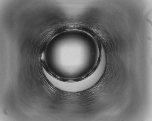 X0000095961444200801111352