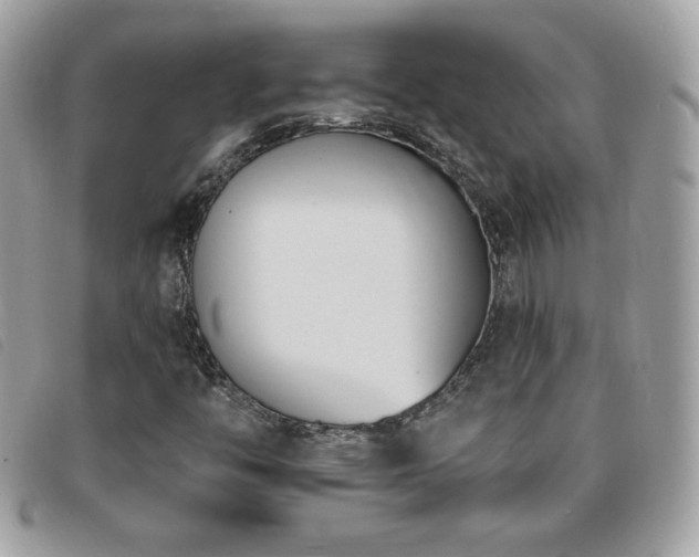 X0000095961446200801111352