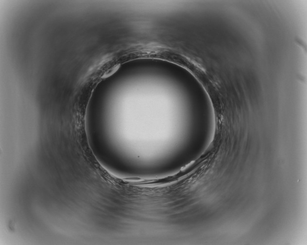 X0000095961447200801111352