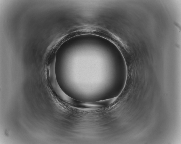 X0000095961448200801111352