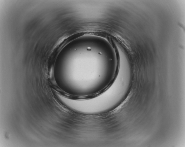 X0000095961449200801111352