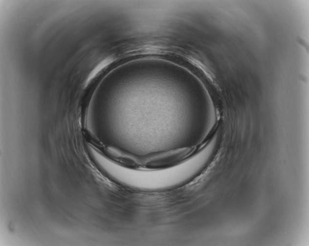 X0000095961450200801111352