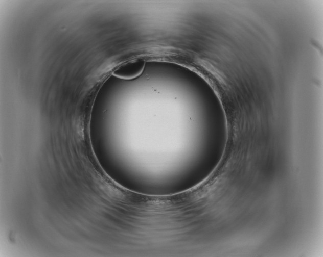 X0000095961451200801111352