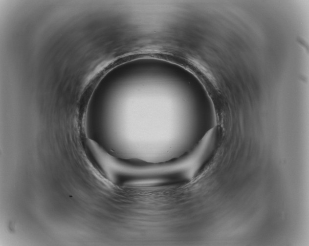 X0000095961452200801111352