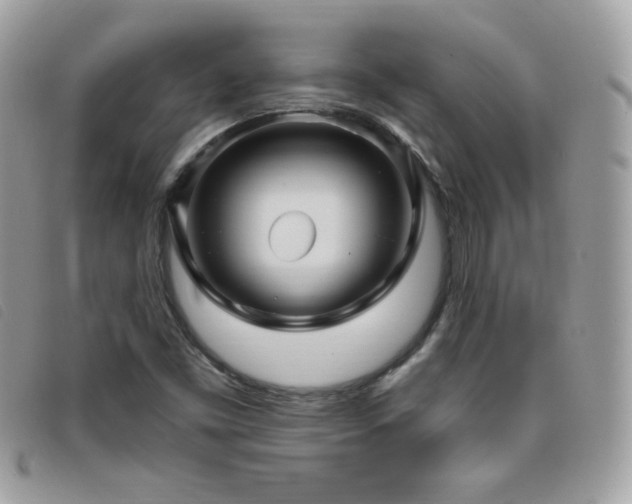 X0000095961453200801111352