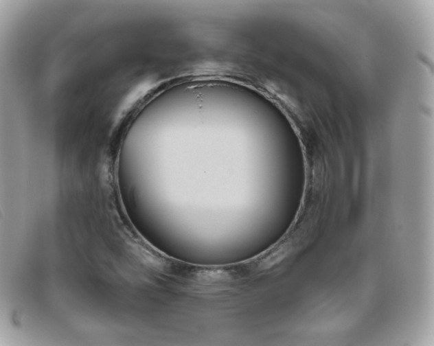 X0000095961454200801111352