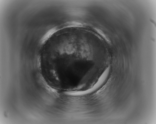 X0000095961455200801111352