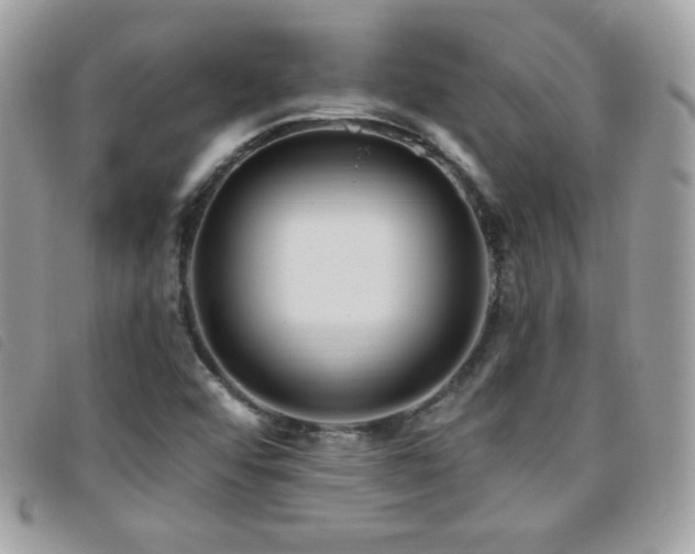 X0000095961456200801111352