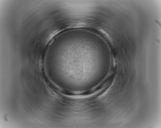 X0000095961457200801111352