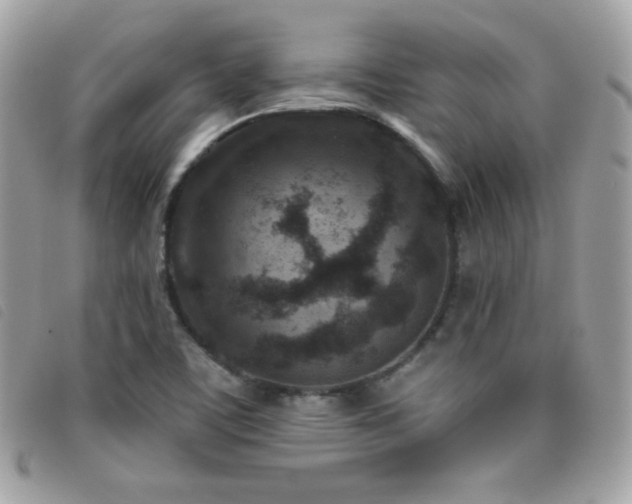 X0000095961459200801111352